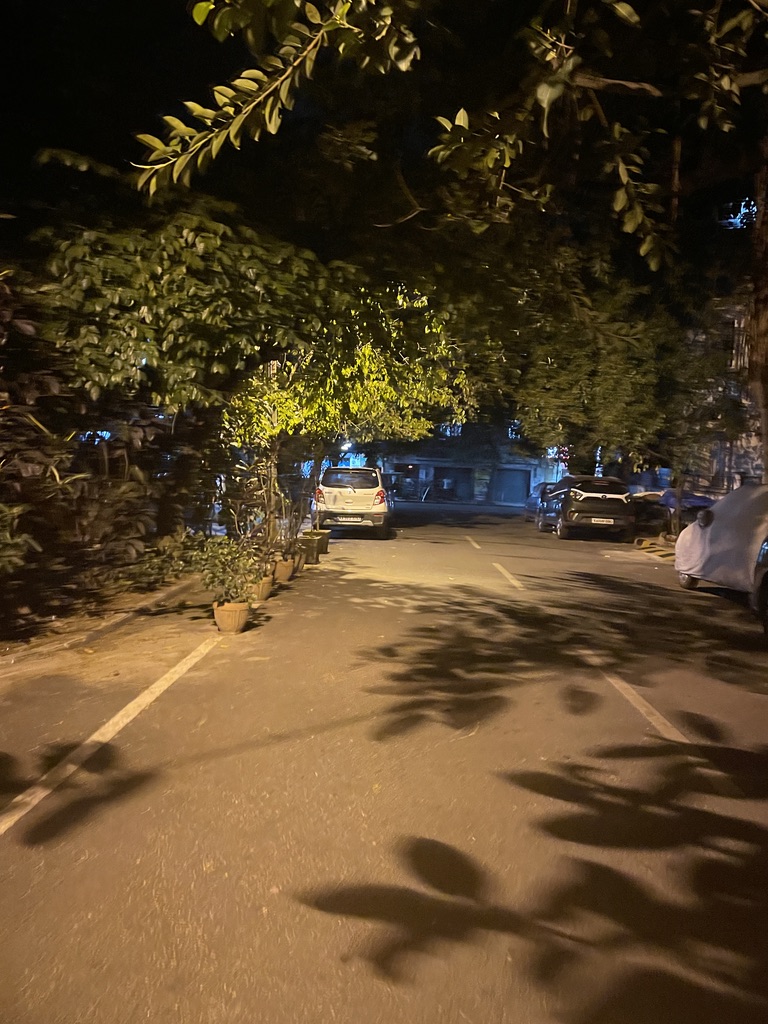 night walk