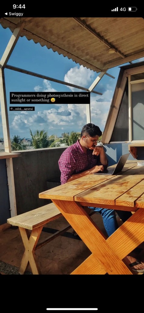 programmers doing photosynthesis